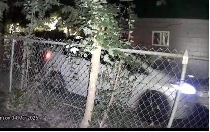 Anthony Golden Prius